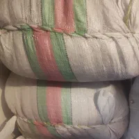 شالی ندا بذری