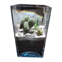 گل مینیاتوری (تراریوم)