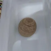 شهاب سنگ|کلکسیون و سرگرمی|گنبد کاووس, |دیوار