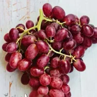 ارائه نهال انگورکریسمون پربار و شیرین|خدمات باغبانی و درختکاری|درب گنبد, |دیوار