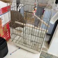 قفس پرنده|لوازم جانبی حیوانات|پاکدشت, شهرک امام رضا|دیوار