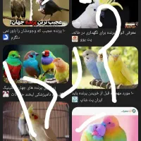 انواع پرنده و حیوانات