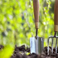 باغبانی|خدمات باغبانی و درختکاری|دوگنبدان, |دیوار