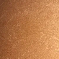 موکت|موکت|قم, پردیسان|دیوار