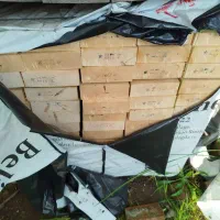 درخت صنوبر|خدمات پیشه و مهارت|آستانه اشرفیه, |دیوار