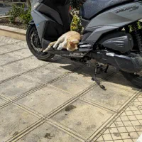 گلکسی جی ۲۰۰ مدل ۱۴۰۴