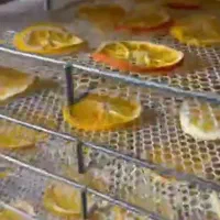 دستگاه خشک کن میوه و سبزی  eirderayer pilsa|ماشین‌آلات صنعتی|مشهد, کاظم آباد پنجشنبه|دیوار