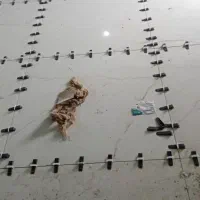 بنا تعمیرات تخریب تعویض سنگ توالت آهنکشی کاشی کاری