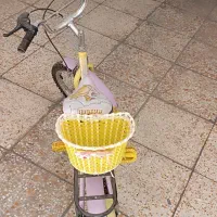دوچرخه  دخترانه فانتزی|دوچرخه، اسکیت، اسکوتر|اسلامشهر, باغ فیض|دیوار