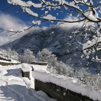 اخذ سندتک برگ.|خدمات مالی، حسابداری، بیمه|مرزنآباد, |دیوار