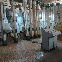 برنج عنبربو امسال کتوند|خوردنی و آشامیدنی|گتوند, |دیوار