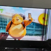 تلوزیون ۴۳ز