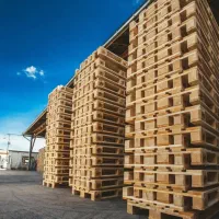 درآمد چندمیلیون دلاری با صادرات چوب نهال صـنوبر|خدمات باغبانی و درختکاری|اصفهان, تیران|دیوار