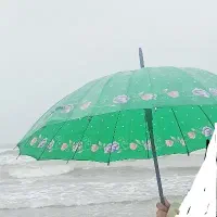 چتر گم شده