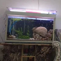 آکواریوم و میز