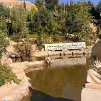 پرستار و بهیار