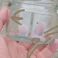 شیشه خالی|عمده‌فروشی|تسوج, |دیوار