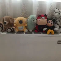 عروسک پولیشی