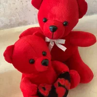 خرس قلبدار و خرس نشسته