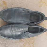 کفش مجلسی اورجینال|کیف، کفش، کمربند|مینودشت, |دیوار