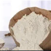 پخش ارد نول پیتزا