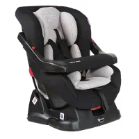 صندلی ماشین دلیجان