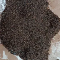 100کیلو خاک چای|خوردنی و آشامیدنی|لاهیجان, بازکیاگوراب|دیوار