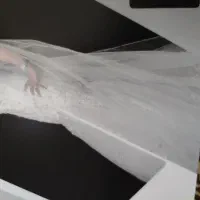 لباس عروس سایز ۱ مناسب ۳۸و۳۶|لباس|تهران, کوثر|دیوار