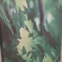 پرده|پرده، رانر، رومیزی|قم, باغ کرباسی|دیوار