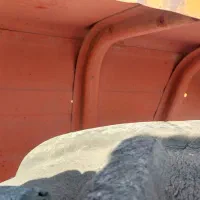 رومانی مدل۶۳|خودرو سنگین|اردبیل, |دیوار