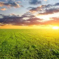 70 هکتار زمین کشاورزی دیمی،محدوده مرز اینچه برون