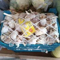 گل کلم وسایل ترشی میوه|خوردنی و آشامیدنی|رباط‌کریم, شترخوار|دیوار