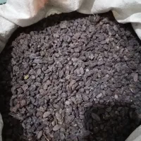 کشمش افتابی