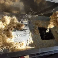 خدمات سمنو|خدمات پذیرایی، مراسم|اصفهان, ارداجی|دیوار