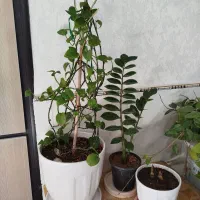 وسایل منزل|حراج|همدان, |دیوار