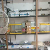فروش لوازم آکواریم