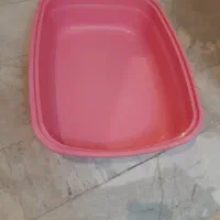 ظرف خاک گربه