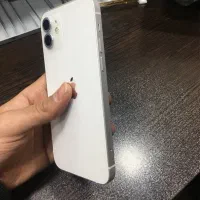 iPhone 12 normal|موبایل|مشهد, سعد آباد|دیوار