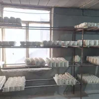 کار نیروی تراش و شستشو خانوم روزمزد