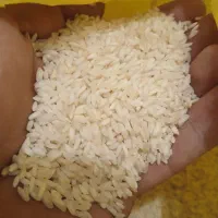 عنبربو|خوردنی و آشامیدنی|قزوین, |دیوار