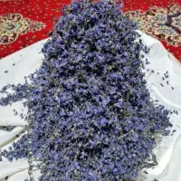 بنفشه خشک تمیز