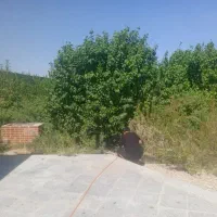 علف زنی