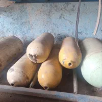 مخزن CNG تاریخ دار وند کلیه خودروهای گاز سوز