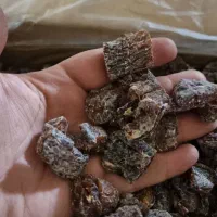 خرما درجه یک صادراتی و چیپش خرما پیارم|عمده‌فروشی|تهران, تهرانپارس جنوبی|دیوار