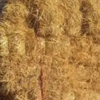 پرس گندم و جو تحویل در محل