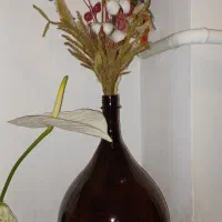 ظرف آبغوره ک گلدانم میشود