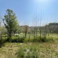 زمین مسکونی روستایی ، لوکیشن بکر ویو ابدی/ گردکوه|فروش زمین و ملک کلنگی|لاهیجان, حزین|دیوار