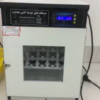 دستگاه جوجه کشی|لوازم جانبی حیوانات|بناب, |دیوار