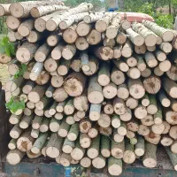 خریدوفروش انواع چوب