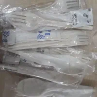 قاشق چنگال گیاهی